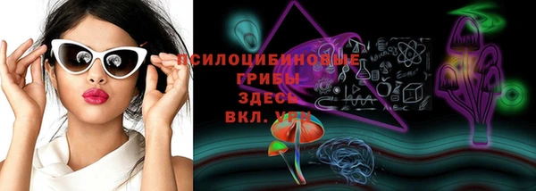 хмурый Горнозаводск