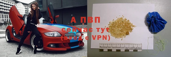 прущие грибы Вязники