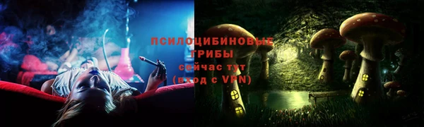 гашик Володарск