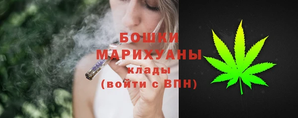 гашик Володарск