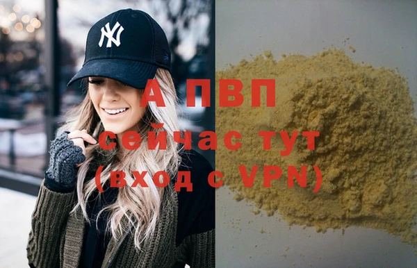 прущие грибы Вязники