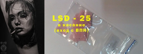 твердый Вяземский