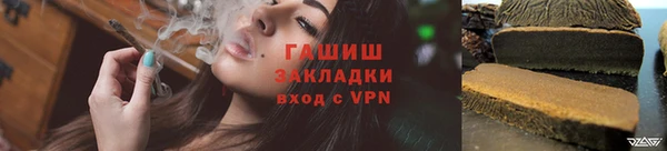 прущие грибы Вязники