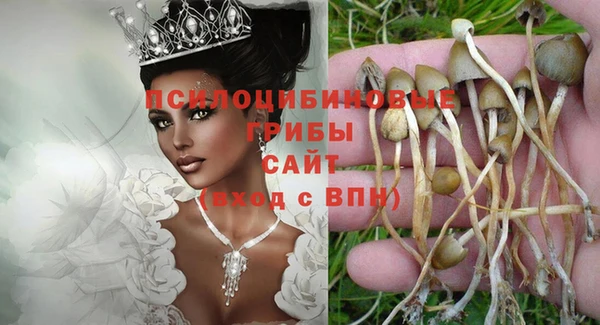 мдпв Волоколамск