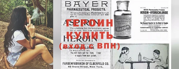 прущие грибы Вязники