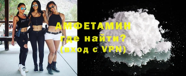 твердый Вяземский